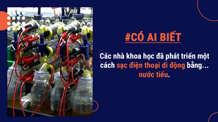 Có ai biết: Ném điện thoại di động lại là một bộ môn thể thao hẳn hoi - 4