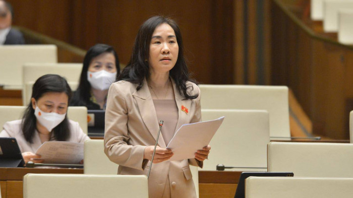 Đại biểu QH tranh luận việc trang bị máy bay, tàu biển cho Cảnh sát cơ động - 3