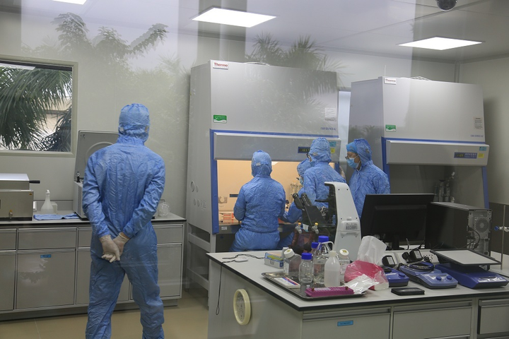 Dabaco: Con đường 'xóa sổ' dịch tả lợn châu Phi đã không còn xa - 4