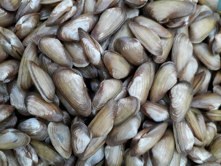 Đã bao giờ bạn nghe đến món Don - đặc sản chỉ có ở mỗi vùng đất Quảng Ngãi chưa? - 2