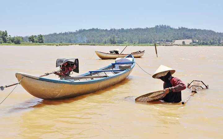 Đã bao giờ bạn nghe đến món Don - đặc sản chỉ có ở mỗi vùng đất Quảng Ngãi chưa? - 3