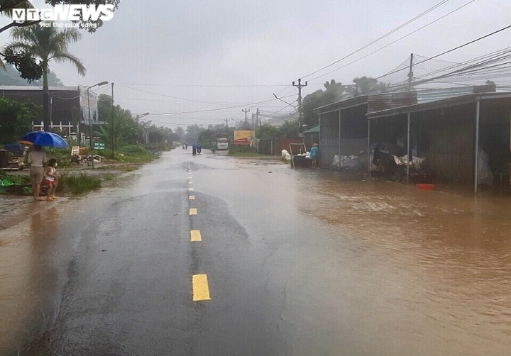 Ảnh: Nước lũ nhấn chìm hàng ngàn hecta lúa, hoa màu ở Đắk Lắk - 6