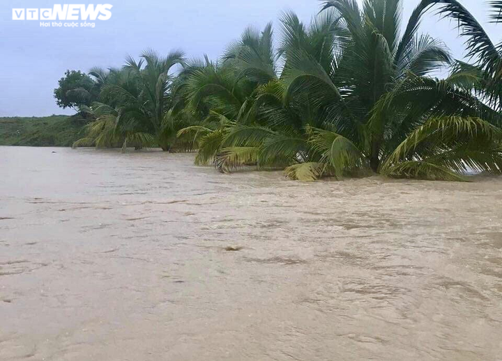 Ảnh: Nước lũ nhấn chìm hàng ngàn hecta lúa, hoa màu ở Đắk Lắk - 10