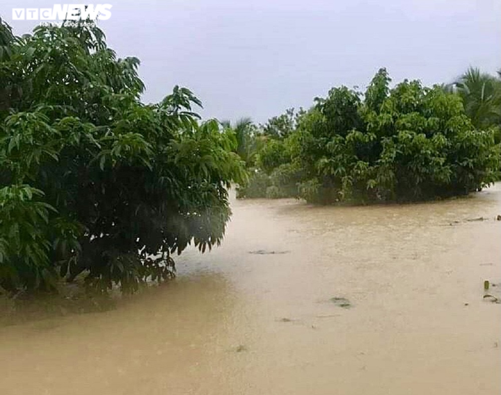 Ảnh: Nước lũ nhấn chìm hàng ngàn hecta lúa, hoa màu ở Đắk Lắk - 9