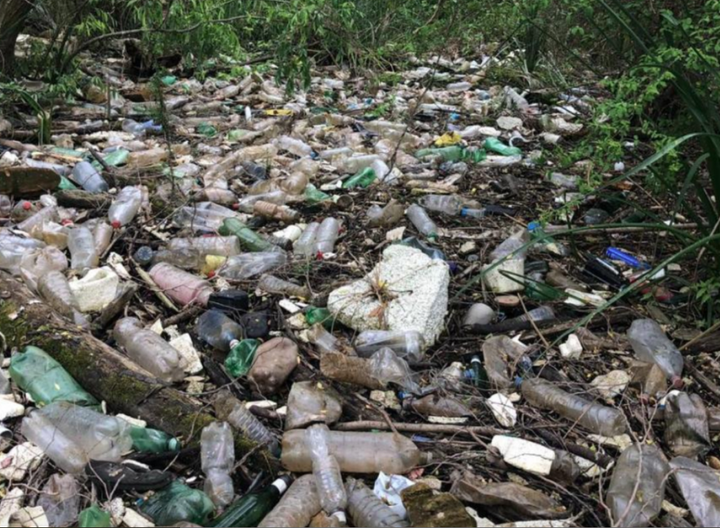 Ngăn chặn gấp việc phá hủy môi trường biển: Câu chuyện ấn tượng của Yago Lange - 4