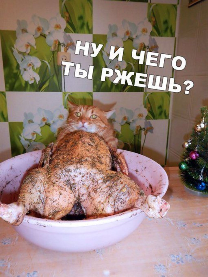 Những bức ảnh khiến dân mạng 'quê độ' vì hiểu lầm, phải tỉnh táo lắm mới nhìn ra - 6