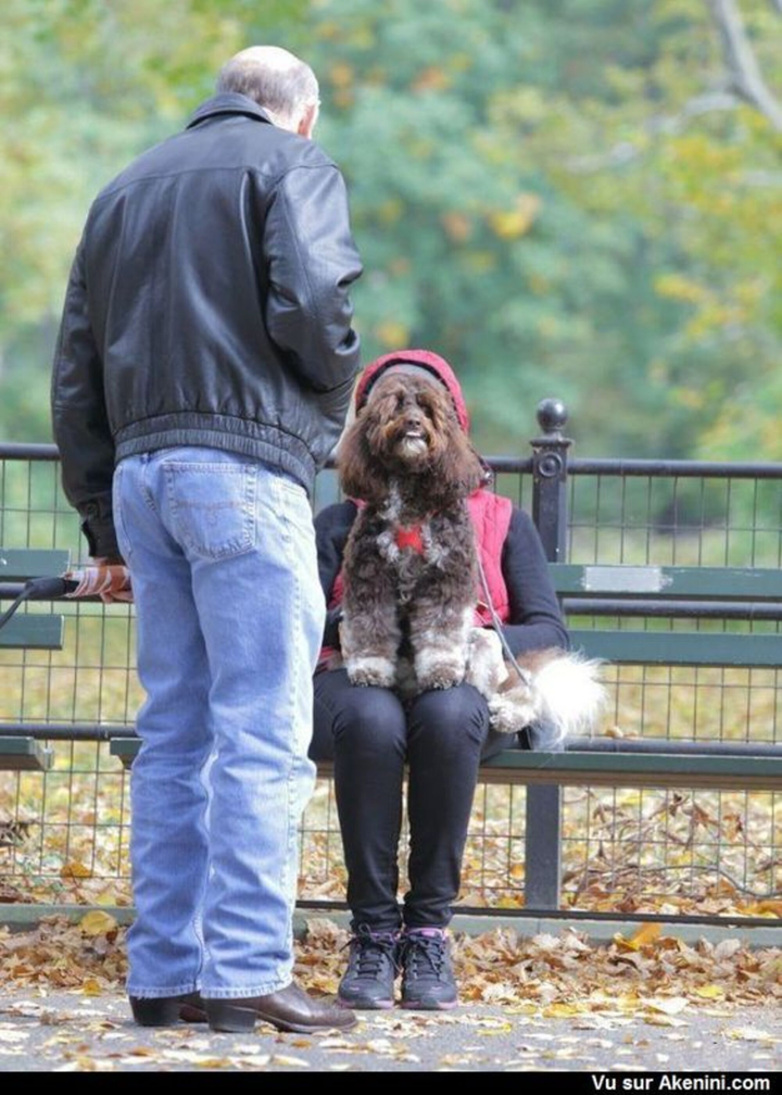 Những bức ảnh khiến dân mạng 'quê độ' vì hiểu lầm, phải tỉnh táo lắm mới nhìn ra - 1