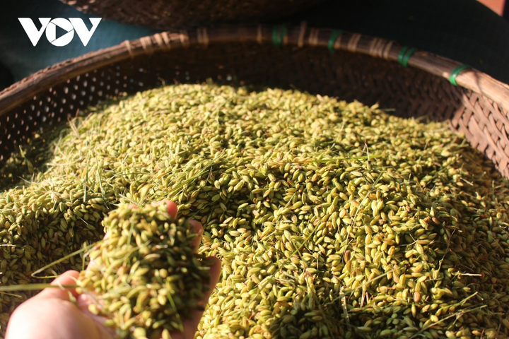 Ảnh: Làng cốm Mễ Trì đỏ lửa rộn ràng khi Hà Nội 'bình thường mới' - 8