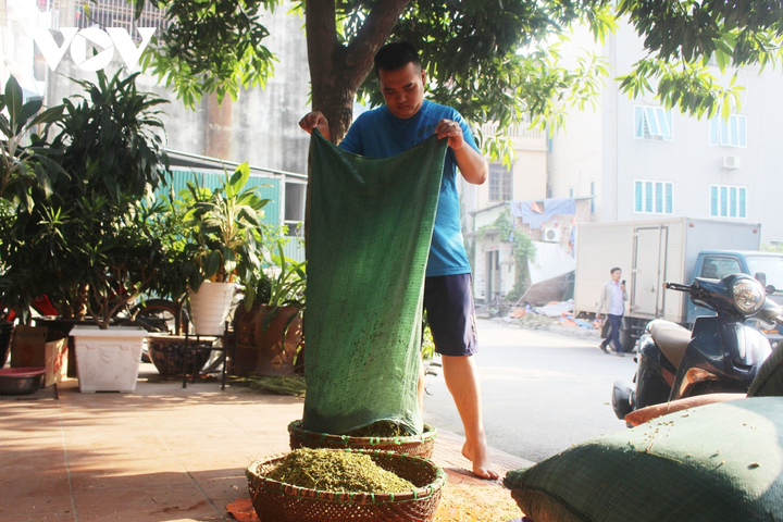 Ảnh: Làng cốm Mễ Trì đỏ lửa rộn ràng khi Hà Nội 'bình thường mới' - 2