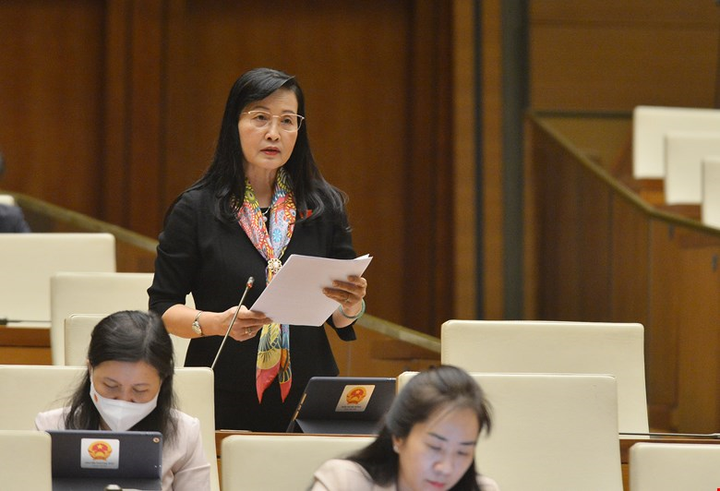 ĐBQH đề nghị giữ nguyên nhạc sĩ là đối tượng được xét tặng danh hiệu NSND, NSƯT - 2