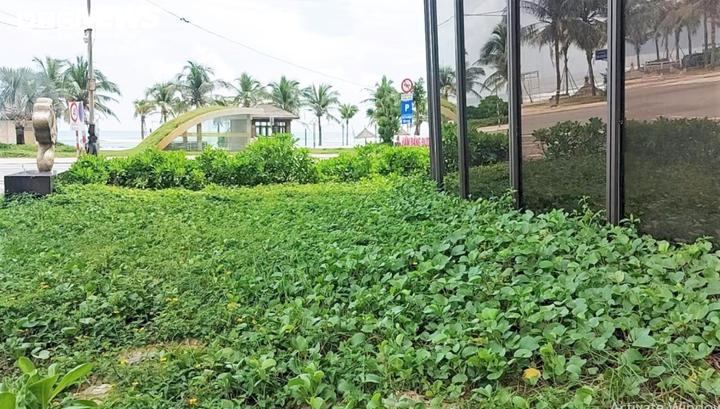 Ảnh: Phố Tây xác xơ, tiêu điều trước thời điểm Đà Nẵng đón du khách quốc tế - 2