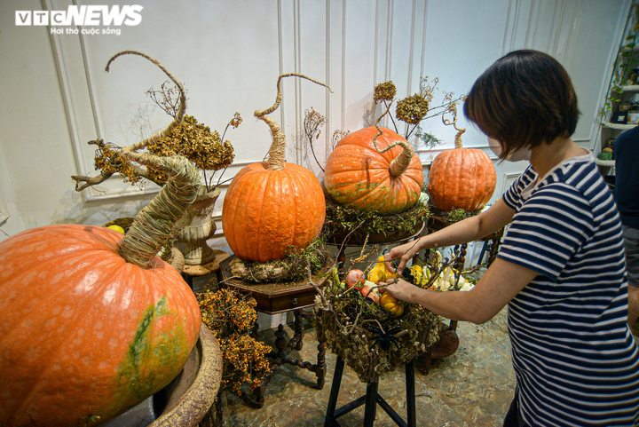 Cửa hàng hốt bạc với bí ngô Halloween khổng lồ đắt đỏ - 3