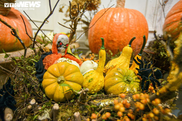 Cửa hàng hốt bạc với bí ngô Halloween khổng lồ đắt đỏ - 11