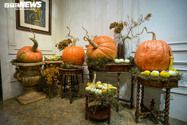 Cửa hàng hốt bạc với bí ngô Halloween khổng lồ đắt đỏ - 2