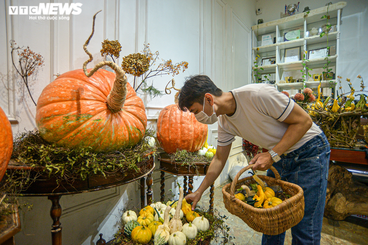 Cửa hàng hốt bạc với bí ngô Halloween khổng lồ đắt đỏ - 5