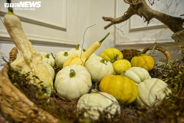 Cửa hàng hốt bạc với bí ngô Halloween khổng lồ đắt đỏ - 8