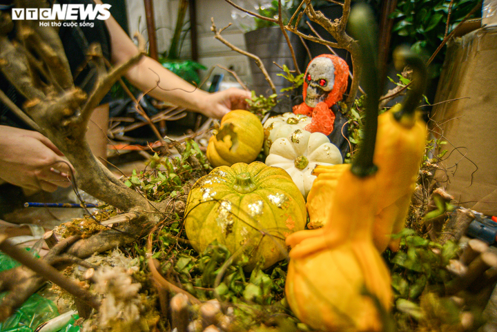 Cửa hàng hốt bạc với bí ngô Halloween khổng lồ đắt đỏ - 6