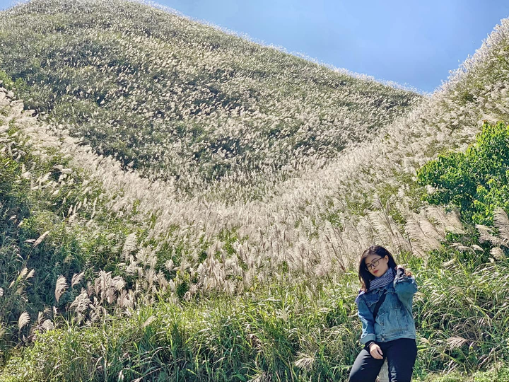 Vi vu miền biên viễn cuối thu, ngắm cỏ lau mọc trắng đồi đẹp như tranh vẽ - 8