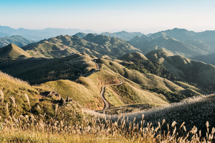 Vi vu miền biên viễn cuối thu, ngắm cỏ lau mọc trắng đồi đẹp như tranh vẽ - 2