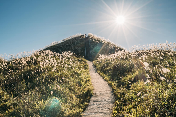 Vi vu miền biên viễn cuối thu, ngắm cỏ lau mọc trắng đồi đẹp như tranh vẽ - 3