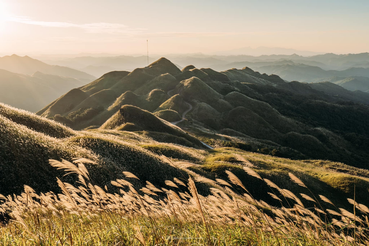 Vi vu miền biên viễn cuối thu, ngắm cỏ lau mọc trắng đồi đẹp như tranh vẽ - 1