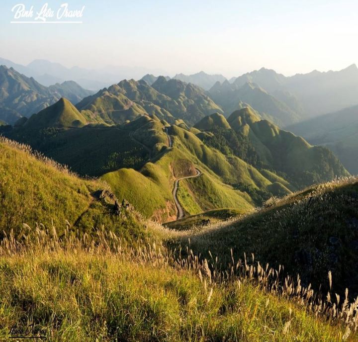 Vi vu miền biên viễn cuối thu, ngắm cỏ lau mọc trắng đồi đẹp như tranh vẽ - 5