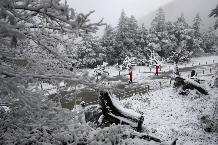 Điểm ‘sống ảo’ ở Đài Loan dành cho hội mê tuyết, phủ sắc trắng tựa tiên cảnh - 3