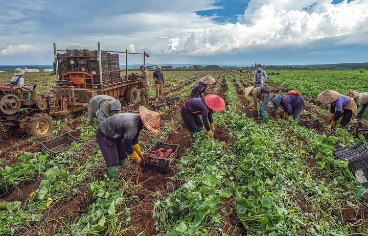Ảnh: Du lịch Đắk Lắk qua ống kính nhà nhiếp ảnh - 3