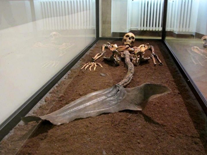 Half-human, half-fish female skeleton discovered, is ‘mermaid’ real? – Amazing Fornu