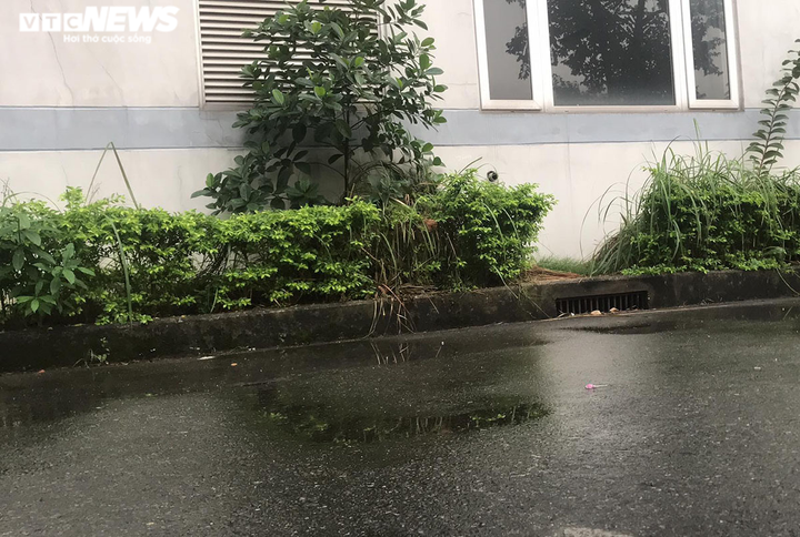 Bé 2 tuổi rơi từ tầng 9 xuống đất tử vong: Thông tin mới nhất - 2