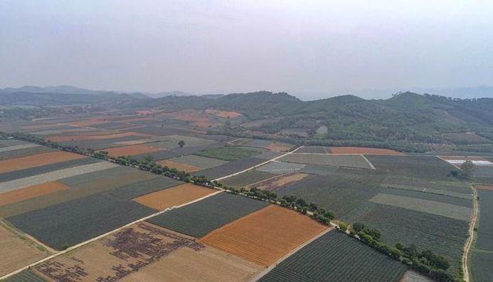 Kiến nghị thu hồi 129 ha đất giao cho doanh nghiệp Xuân Trường làm khu du lịch - 1