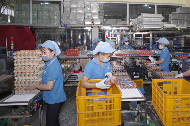 Công nhân trở lại TP.HCM làm việc, nhiều doanh nghiệp tăng ca chạy đơn hàng Tết - 3