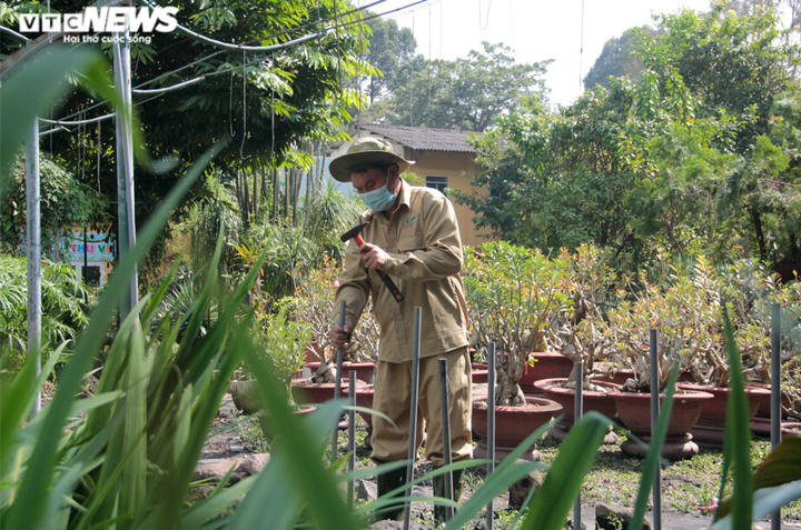 Ảnh: Thảo cầm viên Sài Gòn hối hả dọn dẹp chuẩn bị đón du khách - 2