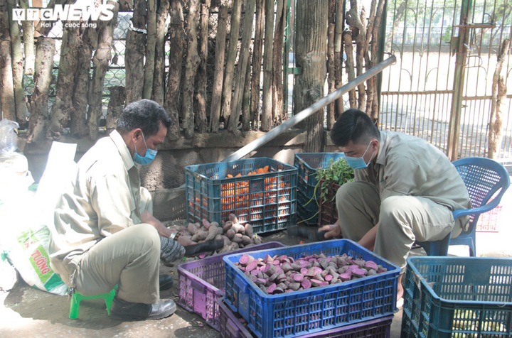 Ảnh: Thảo cầm viên Sài Gòn hối hả dọn dẹp chuẩn bị đón du khách - 9