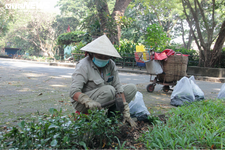 Ảnh: Thảo cầm viên Sài Gòn hối hả dọn dẹp chuẩn bị đón du khách - 3
