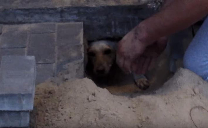 Nghe tiếng động lạ dưới lòng đất, anh chàng hành động cứu được hơn 1 sinh mạng - 2