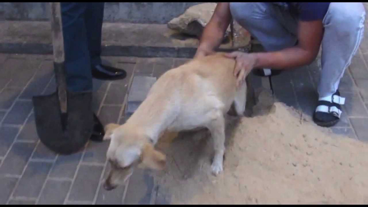 Nghe tiếng động lạ dưới lòng đất, anh chàng hành động cứu được hơn 1 sinh mạng - 4