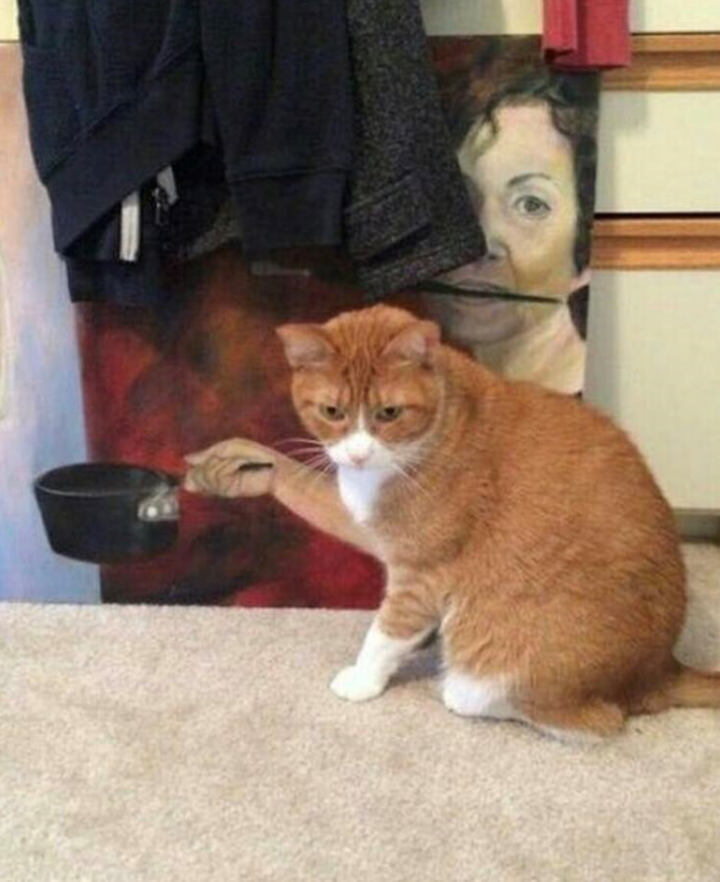 Những góc chụp vô tình khớp đến hoàn hảo tạo thành 'siêu phẩm gây cười' - 4