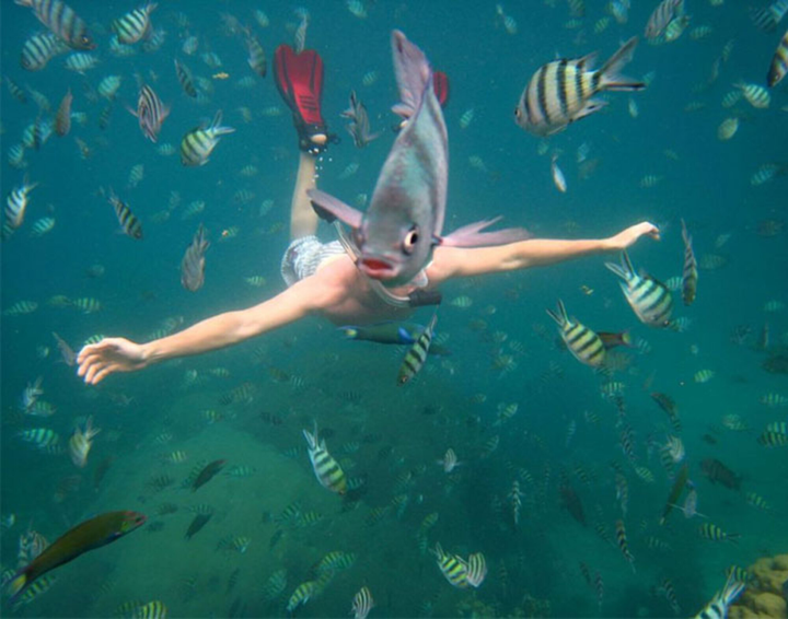 Những góc chụp vô tình khớp đến hoàn hảo tạo thành 'siêu phẩm gây cười' - 5