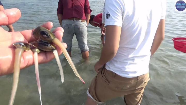 Con cà xỉu: Đặc sản có tên rất 'ngộ' của Hà Tiên nhưng lại khiến người ta mê mẩn - 3