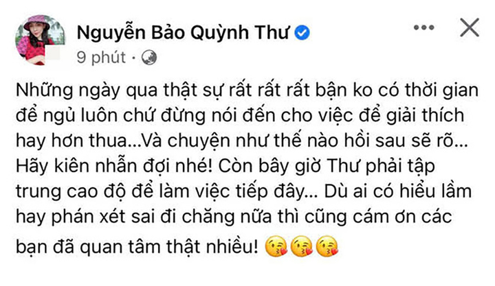 Sao Việt bị đồn là kẻ thứ 3: Bảo Anh 'xù lông', Quỳnh Thư không rảnh giải thích - 3