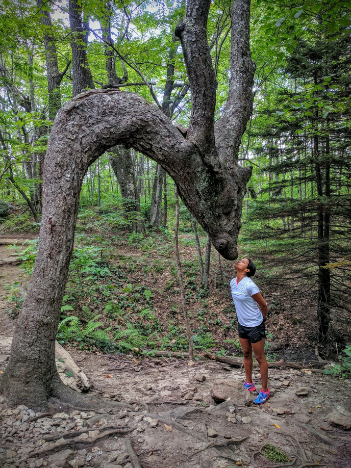 Giật mình với hình dáng kỳ lạ mà tạo hóa đã ban cho cây cối trong rừng rậm - 3