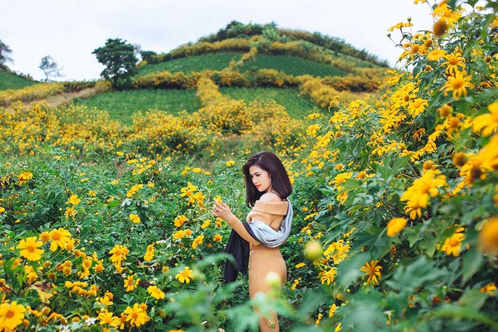 Tạm quên Đà Lạt đi, ở Tây Nguyên còn một điểm săn dã quỳ hoang sơ và đẹp gấp bội - 6