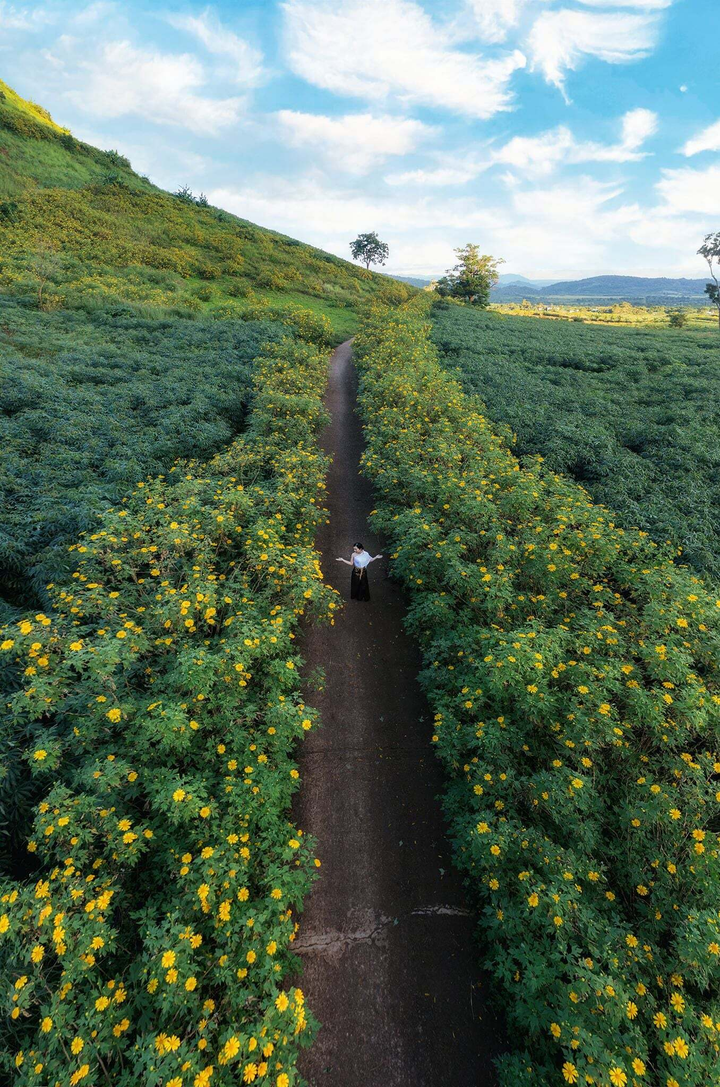 Tạm quên Đà Lạt đi, ở Tây Nguyên còn một điểm săn dã quỳ hoang sơ và đẹp gấp bội - 7