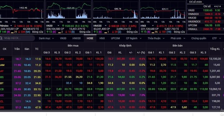 VN-Index mất đỉnh cao kỷ lục, tiền ào ạt đổ vào thị trường - 1