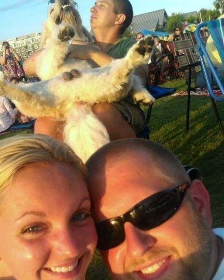 Muôn kiểu 'sự cố' vô tình lọt vào ống kính selfie, từ hài hước đến thót tim - 2