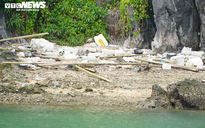 Ảnh: Rác thải đại dương trôi dạt khắp nơi trên vịnh Bái Tử Long, Quảng Ninh - 11