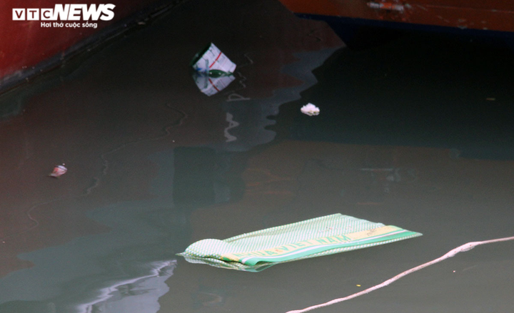 Ảnh: Rác thải đại dương trôi dạt khắp nơi trên vịnh Bái Tử Long, Quảng Ninh - 4