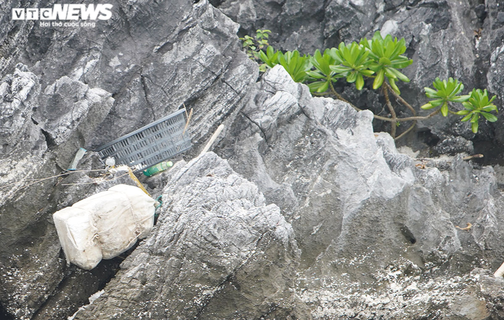 Ảnh: Rác thải đại dương trôi dạt khắp nơi trên vịnh Bái Tử Long, Quảng Ninh - 8