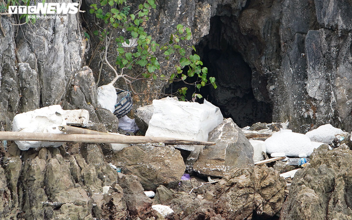 Ảnh: Rác thải đại dương trôi dạt khắp nơi trên vịnh Bái Tử Long, Quảng Ninh - 9